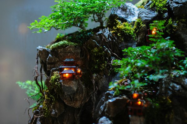 Comment un expert comptable sci améliore la gestion de vos biens