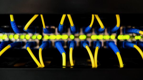 Les meilleurs câbles de traction pour tondeuses : comparatif détaillé